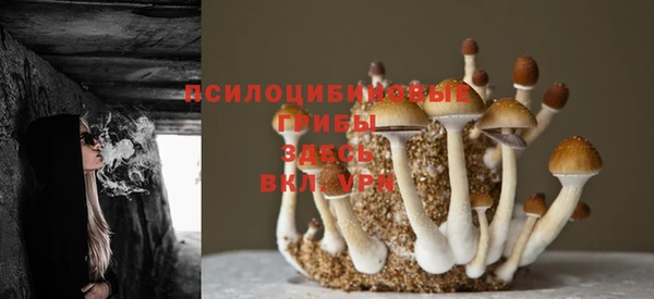 таблы Бугульма
