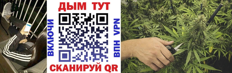 наркотики  Весьегонск  Канабис гибрид 